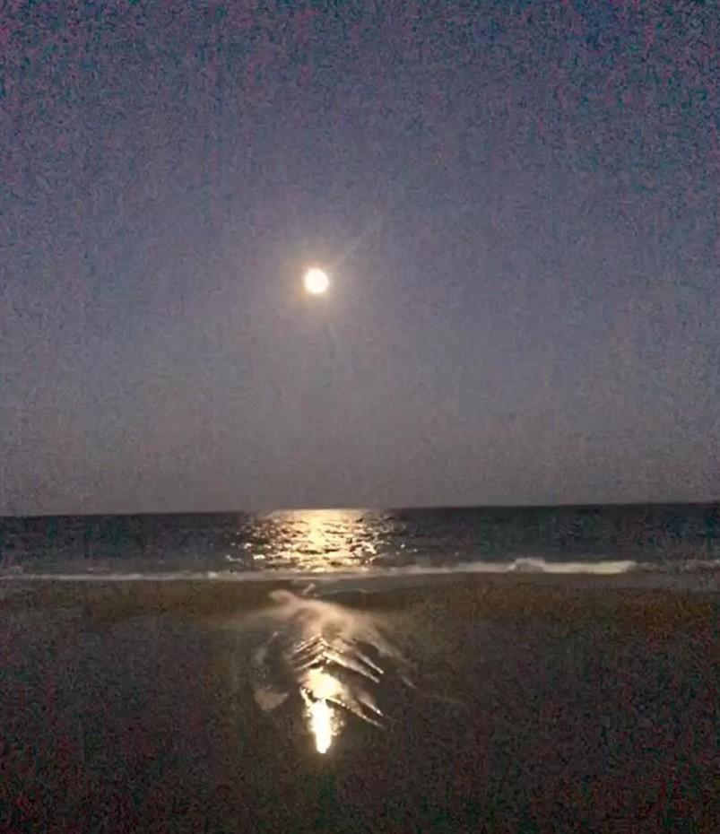 Villa 2501 S Ocean Blvd, 0811 - Ocean Front Sleeps 6 Myrtle Beach Esterno foto